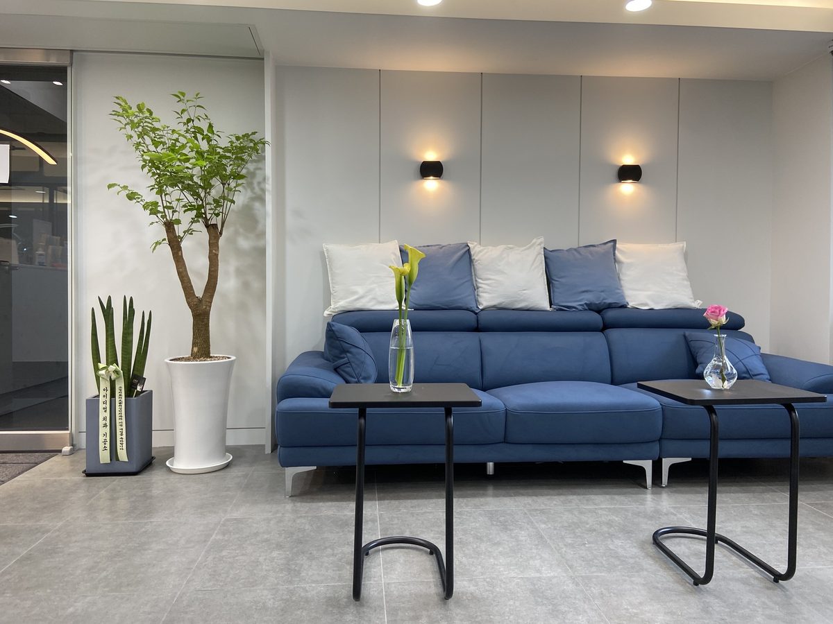 Waiting room of Washington Dental Orthodontic Clinic in Gangnam, Seoul